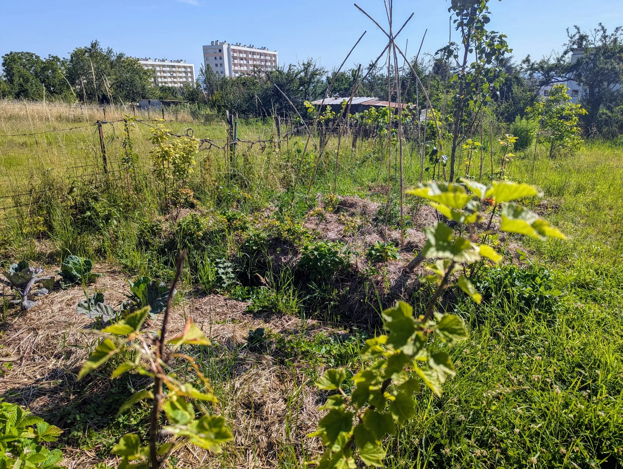 Photo d'une baissière